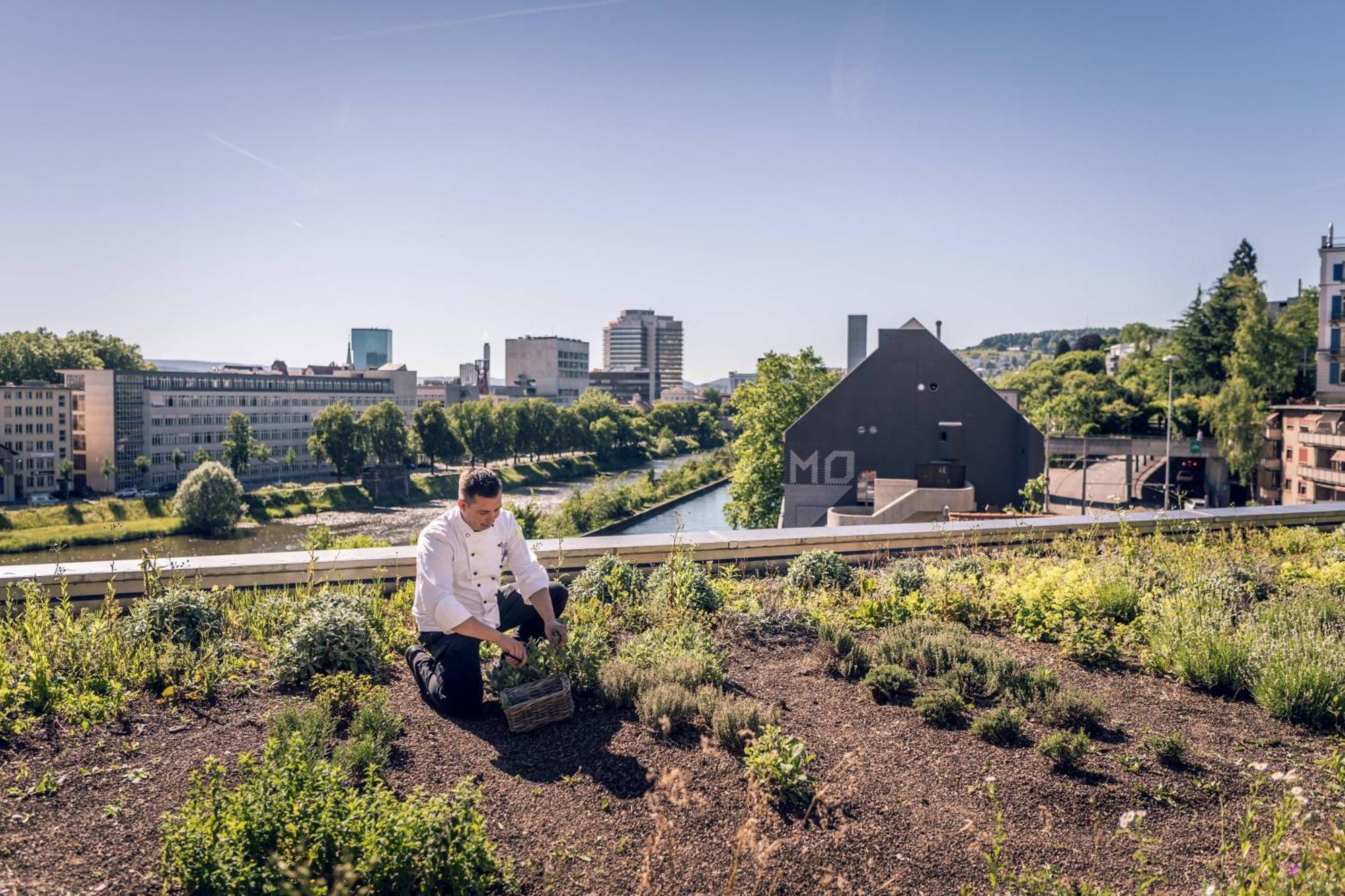 Zurich Marriott Hotel Экстерьер фото The green roof of the University of Hohenheim